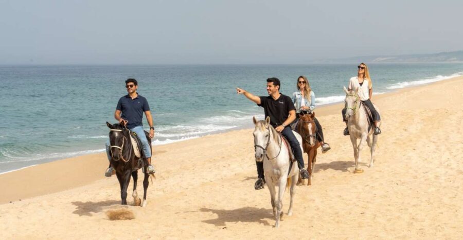 From Lisbon: Comporta and Setúbal Trip with Horseback Riding - Troia Peninsula ferry: sand dunes, sea air, and dolphin chances