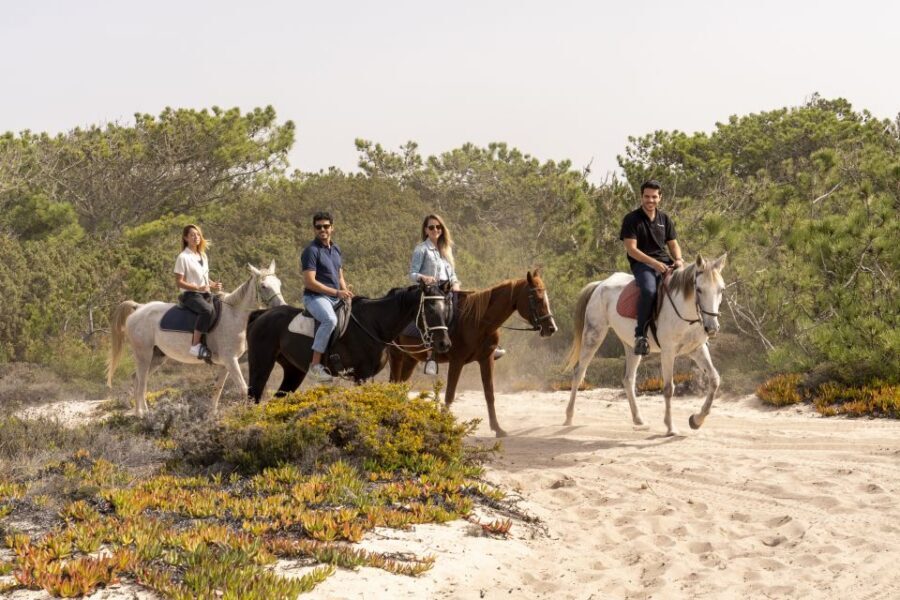 From Lisbon: Comporta and Setúbal Trip with Horseback Riding - Comporta from rice fields to the Atlantic: the horse ride that people remember