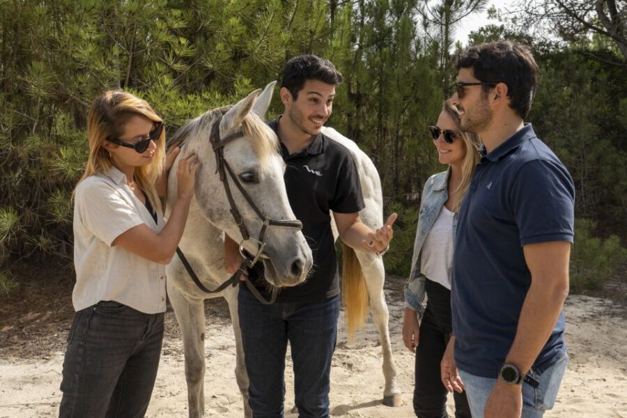 From Lisbon: Comporta and Setúbal Trip with Horseback Riding - Timing in 6 hours: where the day spends its energy
