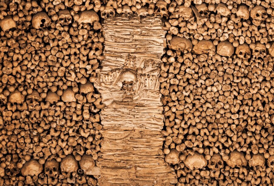From Lisbon: Évora + Chapel of Bones + Monsaraz + Alentejo Wines - Chapel of Bones: eerie in the best way (and how to handle it)