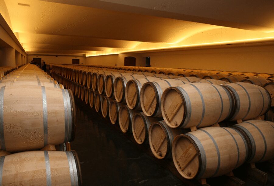 From Lisbon: Évora + Chapel of Bones + Monsaraz + Alentejo Wines - Monsaraz village: the hilltop views that steal the show