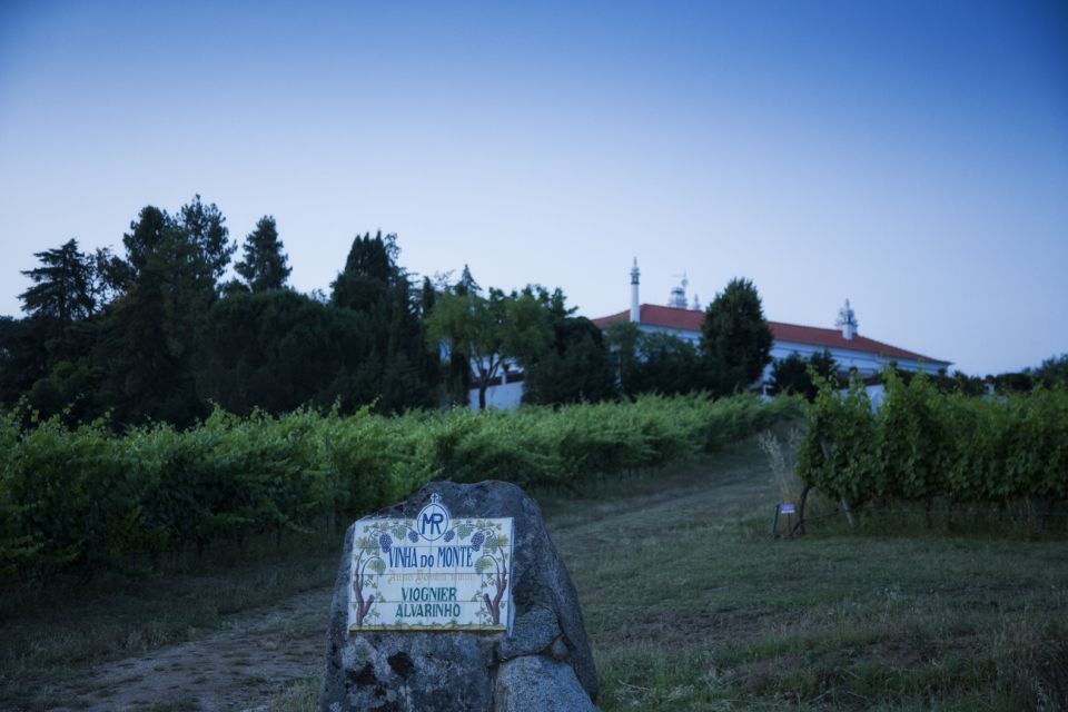 From Lisbon: Évora Wine & Heritage Tour - Price and value: is $100 for this day trip a fair deal?