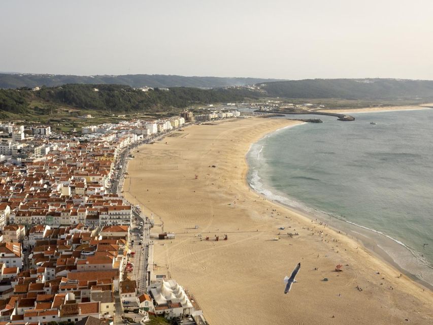 From Lisbon: Fátima, Nazaré and Sintra Guided Tour - The Long-Day Reality: You’ll Ride More Than You Think