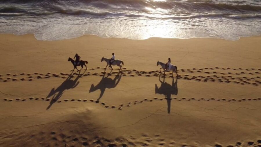 From Lisbon: Horseback Riding on Comporta Beach - Key Things To Know Before You Ride Comporta Beach