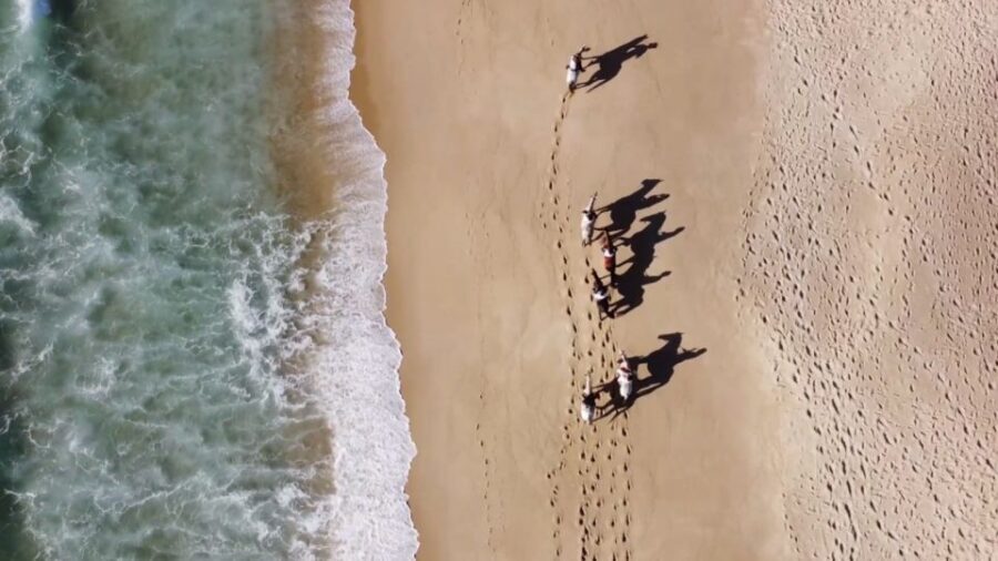 From Lisbon: Horseback Riding on Comporta Beach - Who This Horseback Ride From Lisbon Is Perfect For