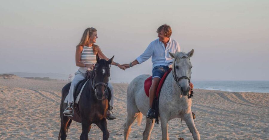 From Lisbon: Horseback Riding on Comporta Beach - Comporta Beach Horseback Riding: Why This Ride Works