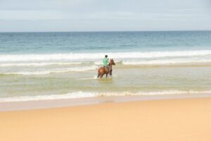 From Lisbon: Horseback Riding on Comporta Beach - Pickup at HF Fénix Lisboa and the Real Time Budget