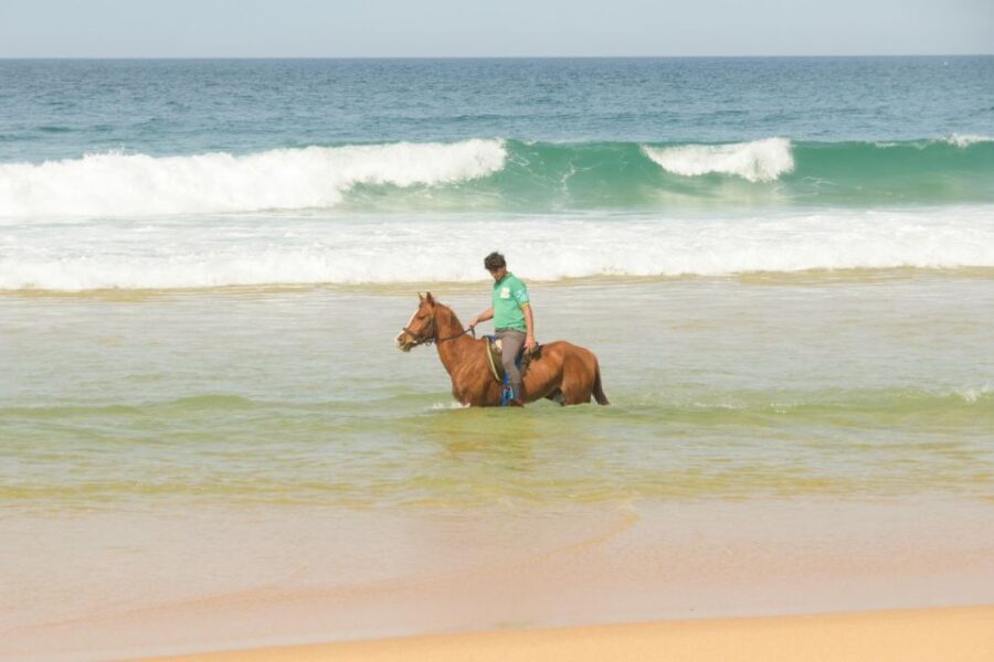 From Lisbon: Horseback Riding on Comporta Beach - Atlantic Forest to Dunes: What Your 2 Hours Look Like