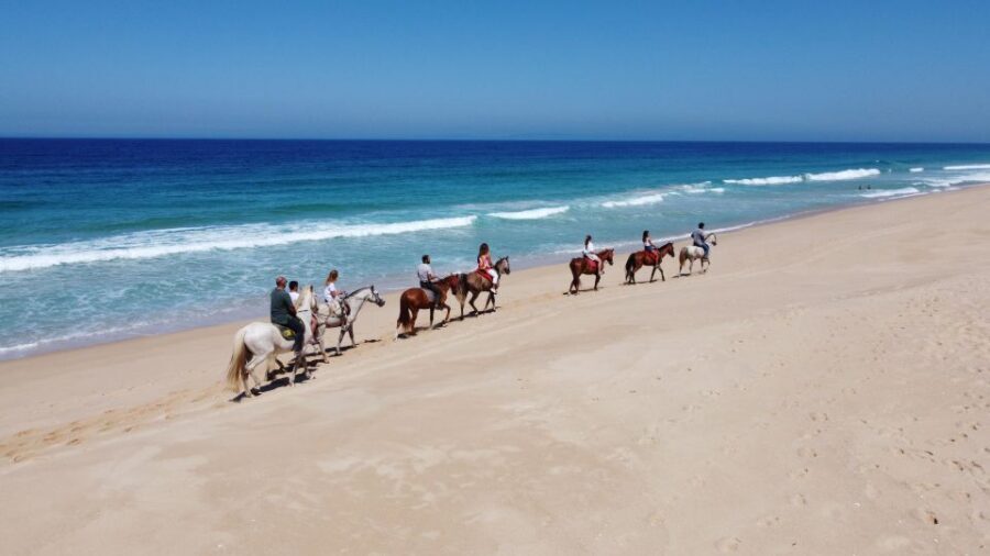 From Lisbon: Horseback Riding on Comporta Beach - Riding Skill Level: How They Make It Beginner-Friendly