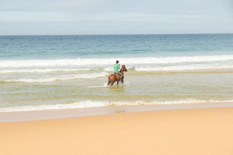 From Lisbon: Horseback Riding on Comporta Beach - Pickup at HF Fénix Lisboa and the Real Time Budget
