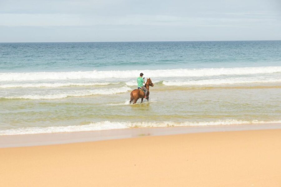 From Lisbon: Horseback Riding on Comporta Beach - Pickup at HF Fénix Lisboa and the Real Time Budget