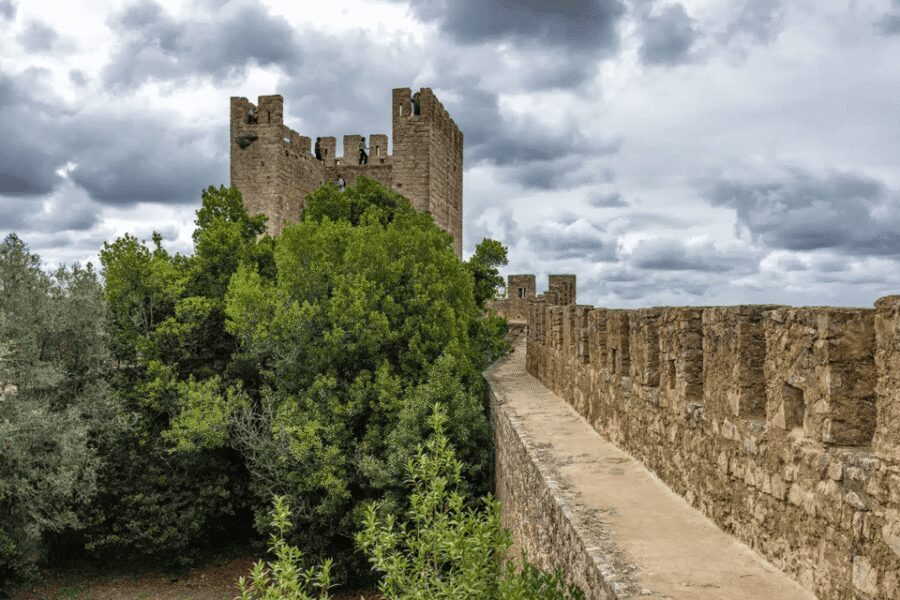 From Lisbon: Nazare Big Waves & Óbidos Small Group Tour - Óbidos’ medieval walls: entering a small-town storybook