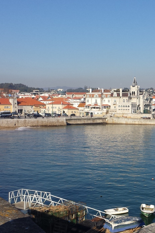 From Lisbon: Private Sintra Sightseeing Tour - Moorish Castle and the Sintra Mountains viewpoints