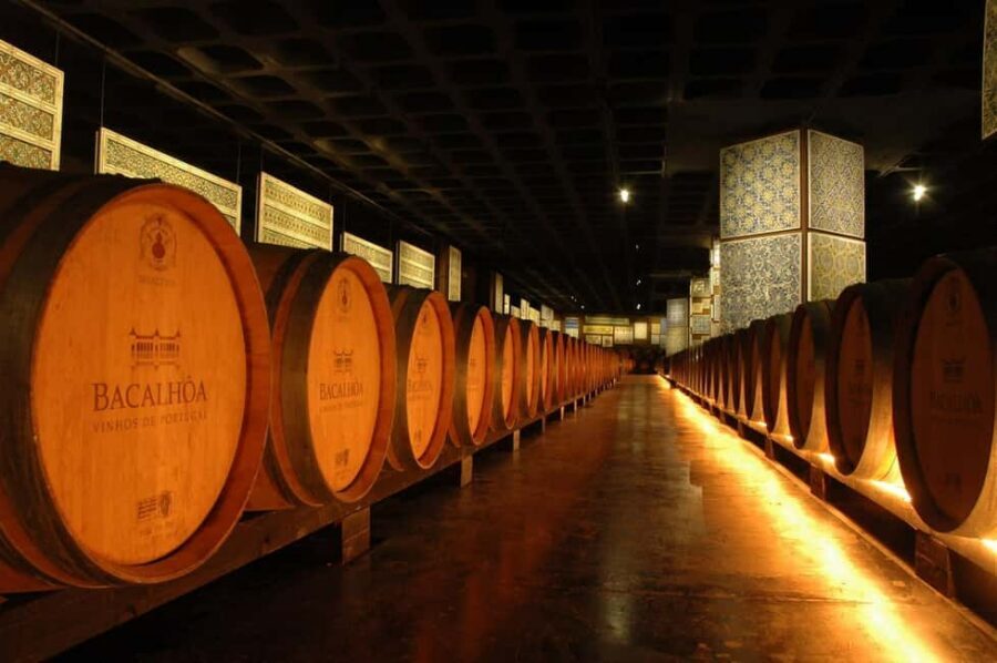 From Lisbon: Serra da Arrábida, Sesimbra, and Setúbal Wines - Key highlights worth your time
