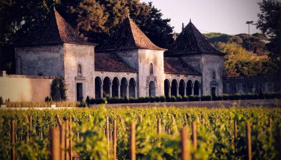 From Lisbon: Serra da Arrábida, Sesimbra, and Setúbal Wines - Bacalhôa Palace and winery: art, history, and a guided tasting