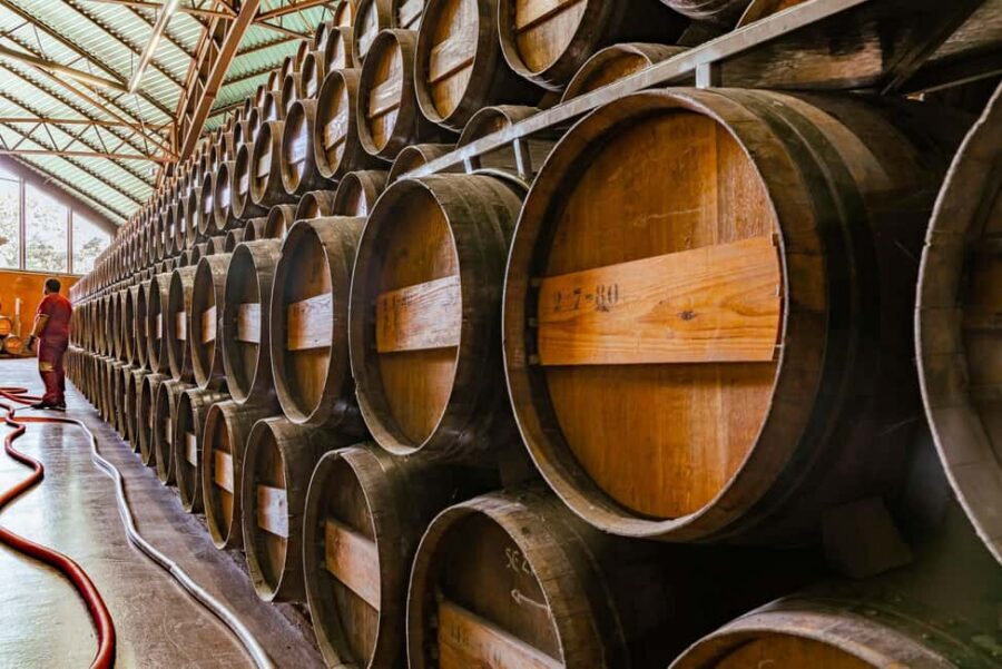 From Lisbon: Serra da Arrábida, Sesimbra, and Setúbal Wines - José Maria da Fonseca: Moscatel tasting, museum-style heritage, and lunch time