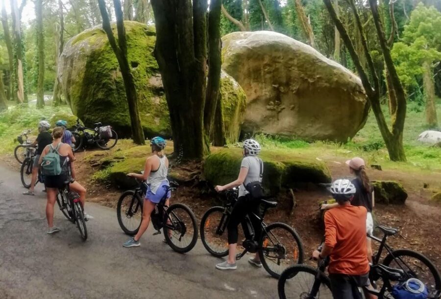 From Lisbon: Sintra and Cascais E-Bike Tour - Palaces and castles from the route: views of Pena, the Moorish Castle, and more