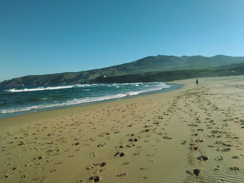 From Lisbon: Sintra and Cascais Natural Park Private Tour - From Lisbon to Sintra and Cascais: the “best of” route that actually fits one day
