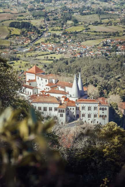 From Lisbon: Sintra Half-Day Tour with Pena Palace Tickets - The tasting stop that feels like Sintra, not a theme park