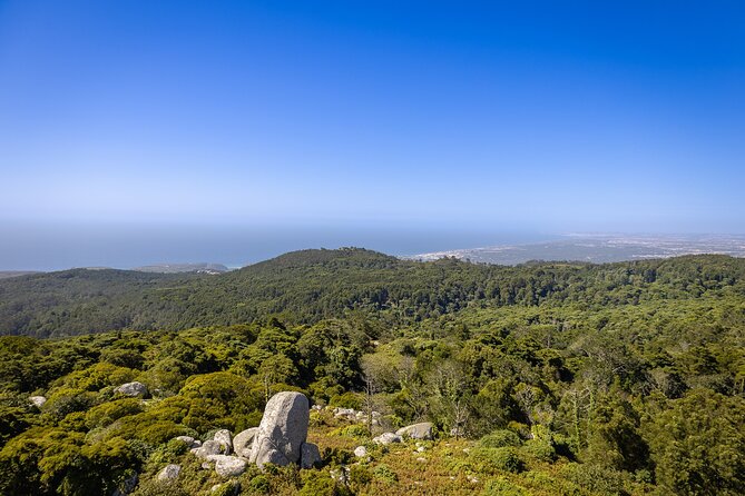 From Lisbon: Sintra, Pena Palace and Regaleira - Sintra from Lisbon: What This 8½-Hour Plan Gets You