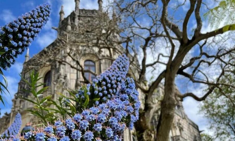 From Lisbon: Sintra, Pena Palace and Regaleira Day Trip - Who should book this Sintra day trip (and who should skip it)