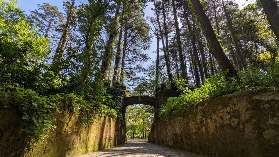 From Lisbon: Sintra Pena Palace Cascais 8-People Group Tour - Pena Palace and Park: what the guided tour actually adds