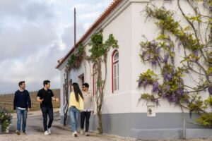 From Lisbon: Sintra & Pena Palace Day Trip with Wine Tasting - Morning ride from Lisbon: the part that makes the day work