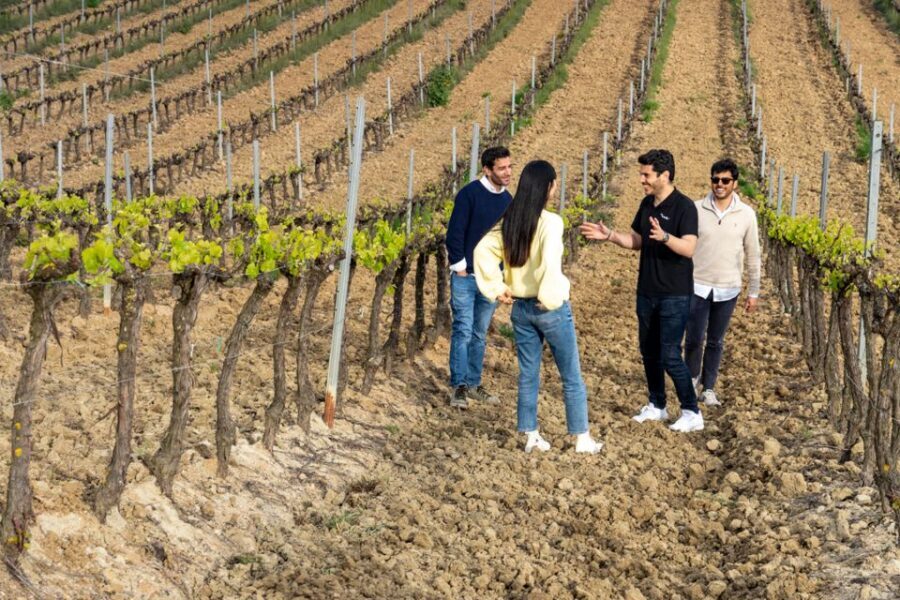 From Lisbon: Sintra & Pena Palace Day Trip with Wine Tasting - Guided Sintra in UNESCO territory: what to focus on