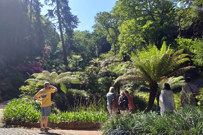 From Lisbon: Sintra's Historical and Natural Gems - Guides Matter: Ruth, Rui, Rute, Diogo, and the Value of Good Explanations