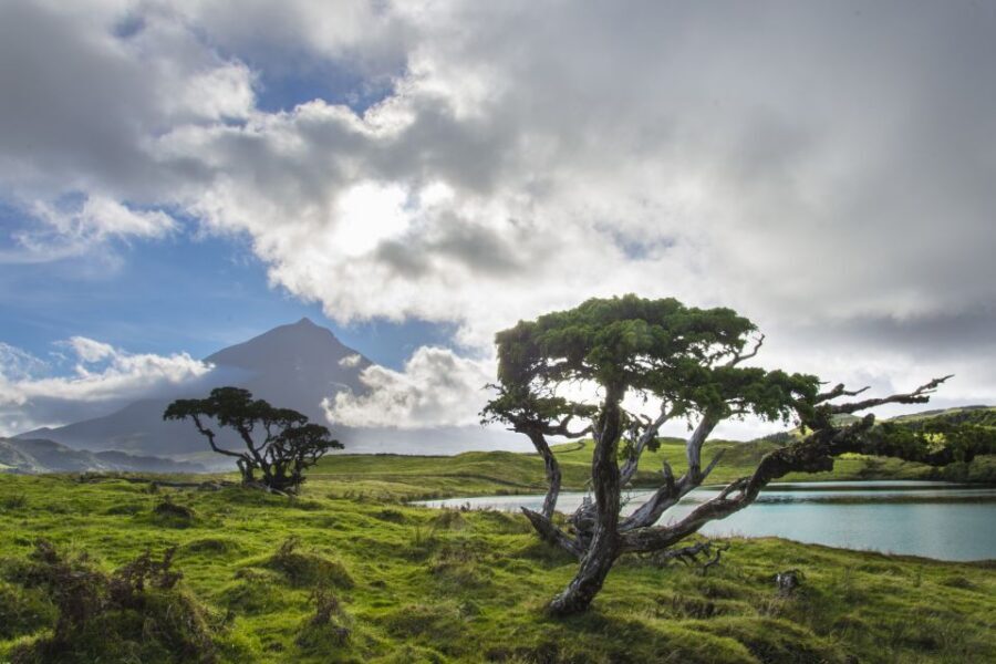 From Madalena: Pico Volcanoes and Lakes Guided Day Tour - Timing, pace, and what to pack for a full 8 hours
