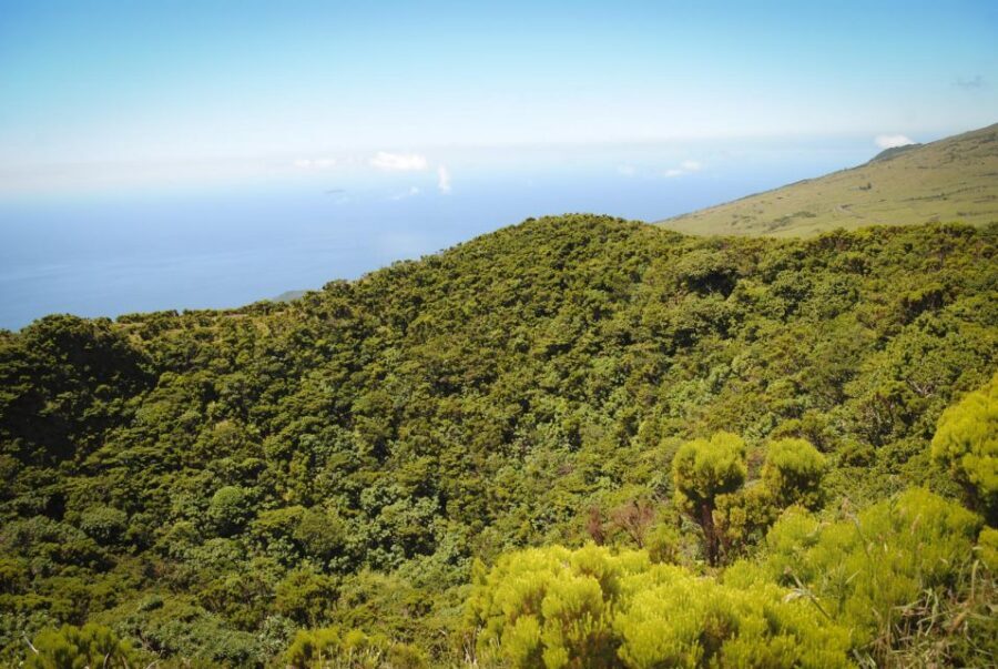 From Madalena: Pico Volcanoes and Lakes Guided Day Tour - Lunch between volcanoes: views with your sandwich