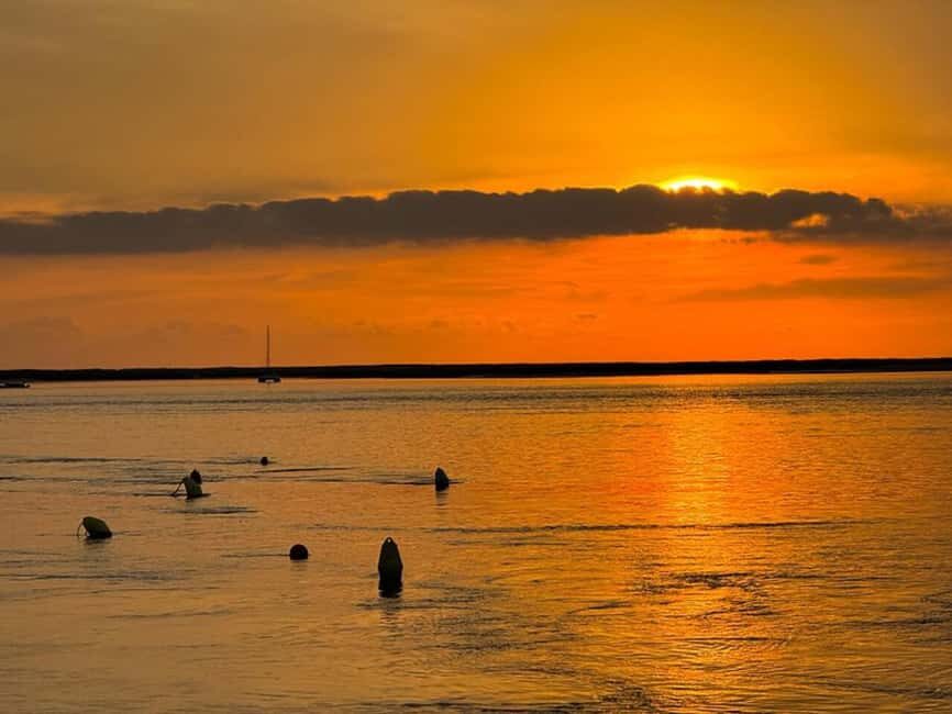 From Olhão: Ria Formosa Sunset Island Boat Tour - Praia Deserta and Ilha da Armona (May–September): Pristine Sand Without the Rush