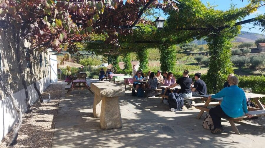 From Pinhão: Douro Valley Tour w/ Wine Tasting and Boat Trip - What’s included, what isn’t, and the smart way to plan