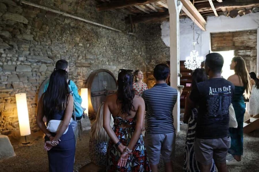 From Porto: 2 Boutique Wineries w/ Winery Lunch & 1-h cruise - Should you book this Porto to Douro boutique winery day?