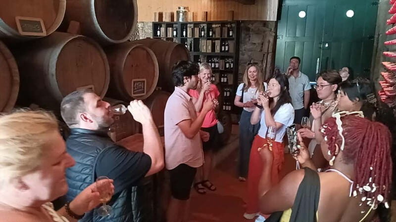 From Porto: 2 Wine Regions, Farm Lunch, and Boat Ride - Comfort and practical stuff: shoes, bags, and heat