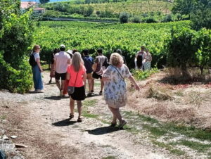 From Porto: 2 Wine Regions, Farm Lunch, and Boat Ride - Getting from Porto to the Douro: van time, breakfast, and real viewpoints