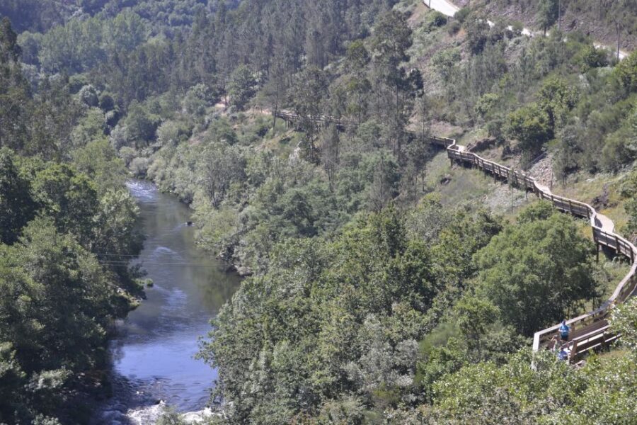 From Porto: 516 Arouca Bridge, Paiva Walkways and Aveiro - The 516 Arouca Suspension Bridge: photos, height, and a guided sense of safety
