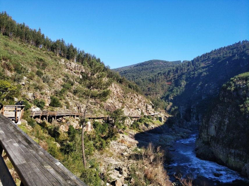 From Porto: Arouca 516 and Paiva Walkways Guided Day Trip - Climbing to the Arouca 516 suspension bridge (about 300 steps, 175 meters up)