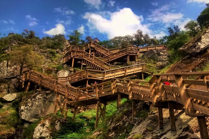 From Porto: Aveiro, Paiva Walkways, Suspension Bridge and Lunch - Key highlights worth planning for