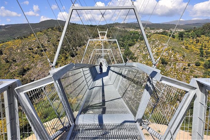 From Porto: Aveiro, Paiva Walkways, Suspension Bridge and Lunch - Logistics that matter: vans, timing, and motion-sickness warning