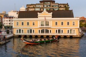 From Porto: Aveiro Private Guided Day Trip - The Porto-to-Aveiro drive: simple timing, low stress
