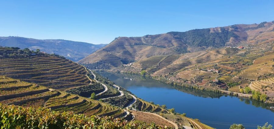 From Porto Day Douro Valley Wine Tour 2 Wine Tasting & Lunch - Practical Packing and Timing Tips That Make the Day Better