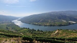 From Porto Day Douro Valley Wine Tour 2 Wine Tasting & Lunch - Sabrosa Winery Tasting: What You’re Really Learning