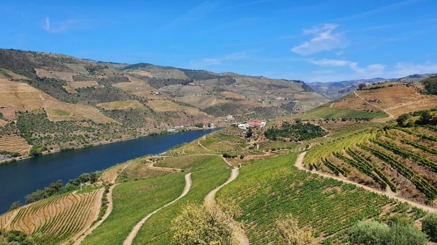 From Porto Day Douro Valley Wine Tour 2 Wine Tasting & Lunch - Peso da Régua and the Return to Porto: Wrapping Up Without Losing Steam