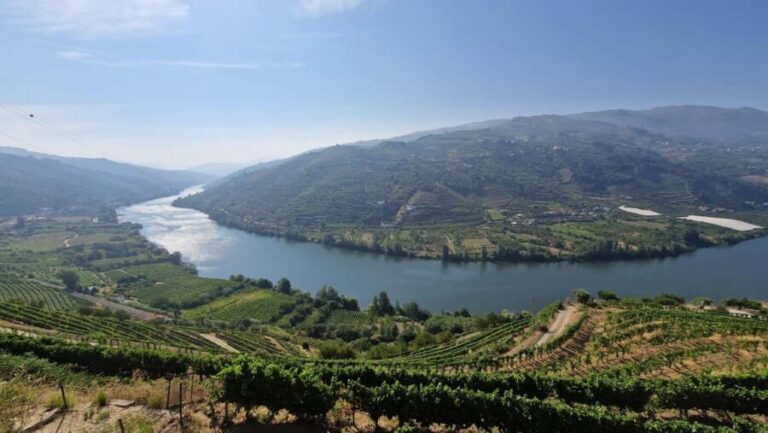 From Porto Day Douro Valley Wine Tour 2 Wine Tasting & Lunch - Sabrosa Winery Tasting: What You’re Really Learning