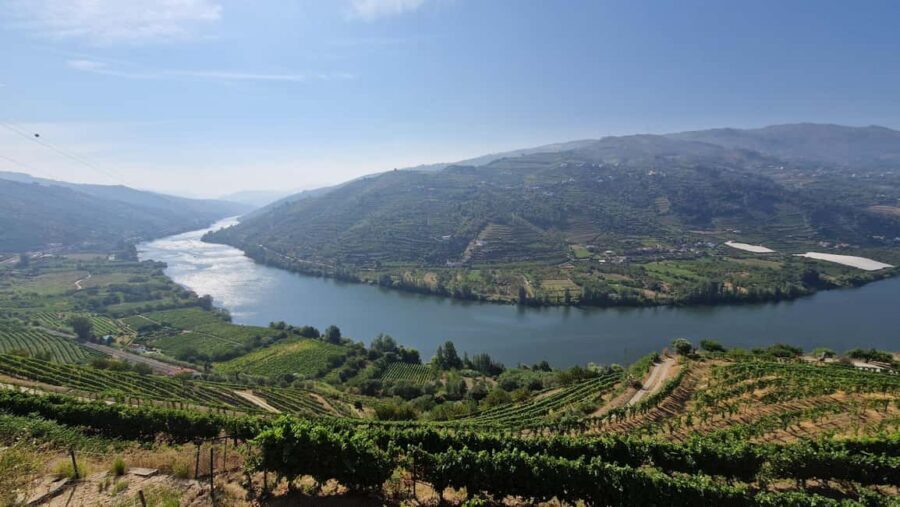 From Porto Day Douro Valley Wine Tour 2 Wine Tasting & Lunch - Sabrosa Winery Tasting: What You’re Really Learning