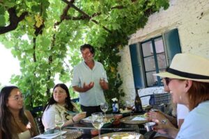 From Porto : Douro Valley sightseeing with 1 Winery Visit - The Winery Stop: Table Wines, Port, and DOC Douro Tastings