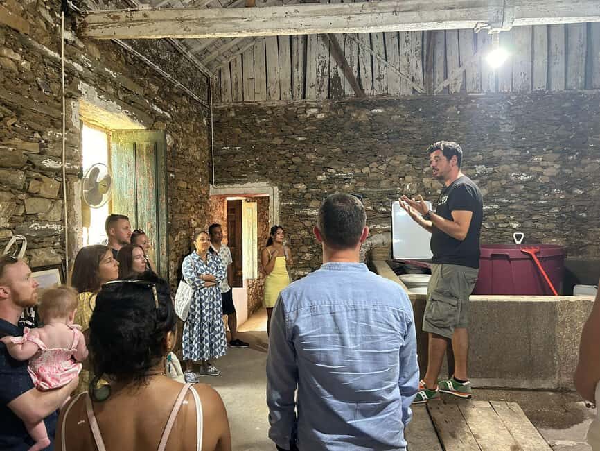 From Porto : Douro Valley sightseeing with 1 Winery Visit - National 222 and Peso da Régua: The Scenic Drive That Sets the Mood