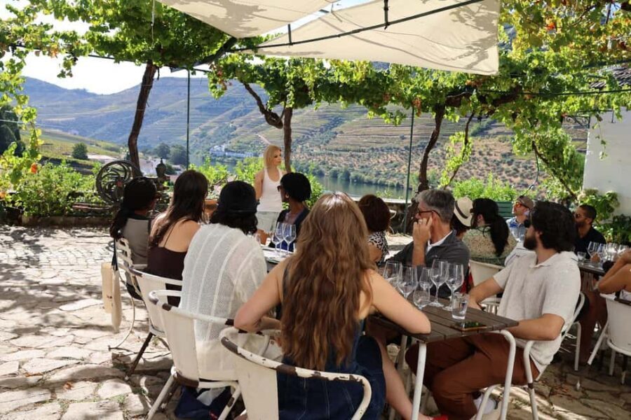 From Porto : Douro Valley sightseeing with 1 Winery Visit - Price and Value: Does $61 Make Sense for Your Douro Day?