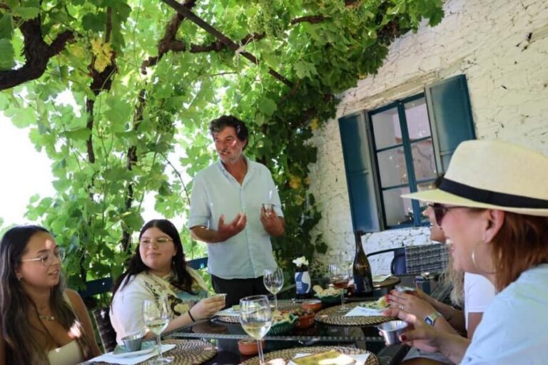 From Porto : Douro Valley sightseeing with 1 Winery Visit - The Winery Stop: Table Wines, Port, and DOC Douro Tastings